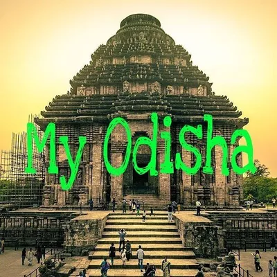 My Odisha profile