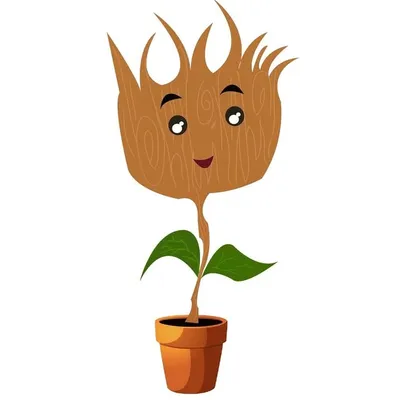 MyPlant MyTaste profile