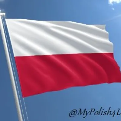 Sylwia-Polish tutor-🇵🇱🇬🇧words profile