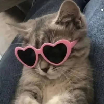 My Relationship Diary profile