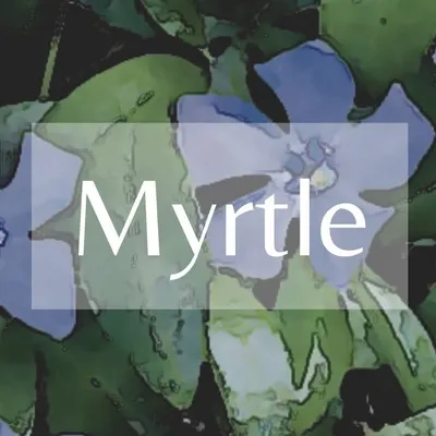 MYRTLE profile