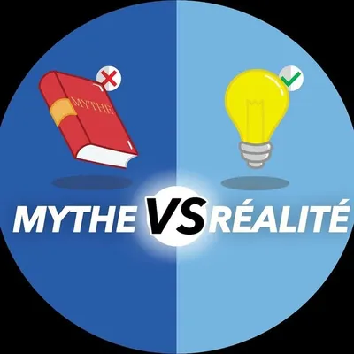 MYTHE VS RÉALITÉ 🇫🇷 profile
