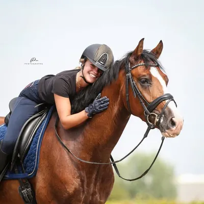 Robin & Nassau Prins ๐ profile