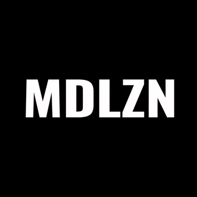 MODEL ZONE profile
