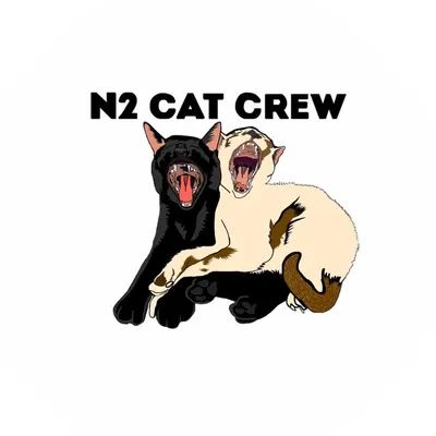 N2 Cat Crew profile