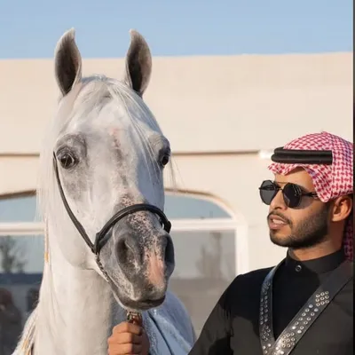 عبدالعزيز الشراري | 🇸🇦Abdulaziz profile