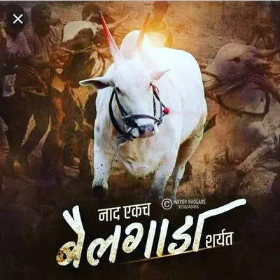 नाद एकच फक्त बैलगाडा शर्यत profile