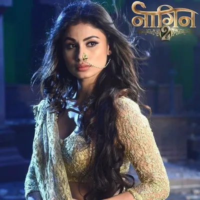 Naagin Season 2 profile