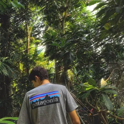 David profile