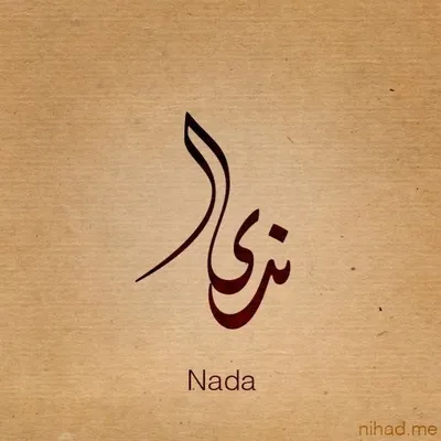 أ. ندى علي profile