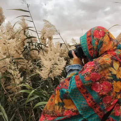 ندى هانئ profile