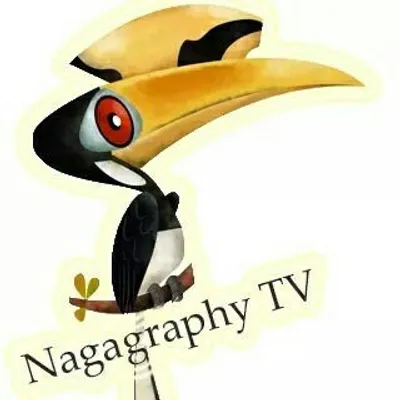 Nagagraphy ©️ profile