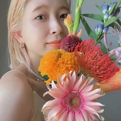 NAHO profile