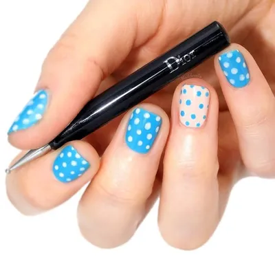Nailderella profile