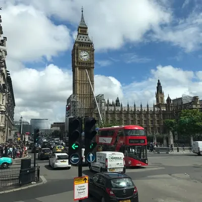 نجد الحقيل 🌸 profile