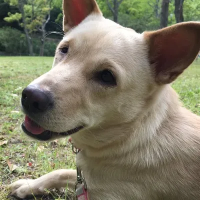 Nakayma_Zeinikun profile