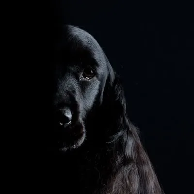 NALA ๐ถ๐ง๐ช profile