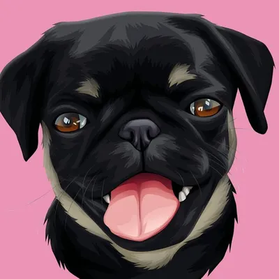 Nala der Mops profile