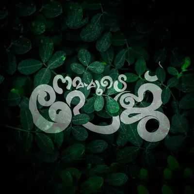 നമ്മുടെ പേജ്! | Nammude Page profile