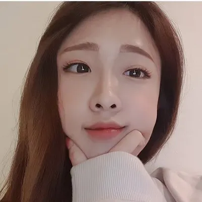 나무 profile