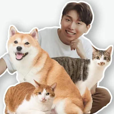 柴犬Nana和阿楞的一天 profile