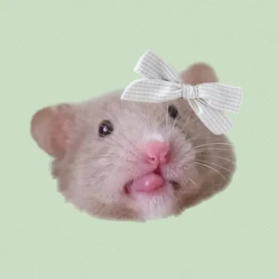 ななこ𓃟 Instagram profile photo