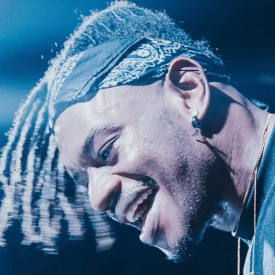 NANDI FLIPZZ profile