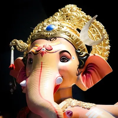  Nandu Vemul profile