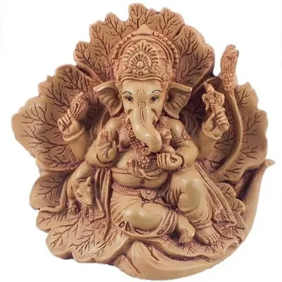 NARAYAN profile