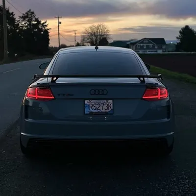 profile