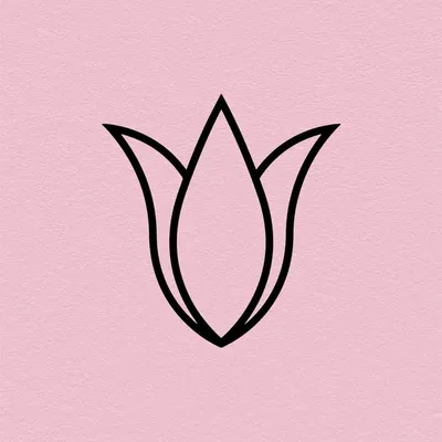 NARIAN | ناریان profile