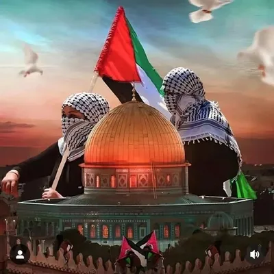ناصر حديد profile