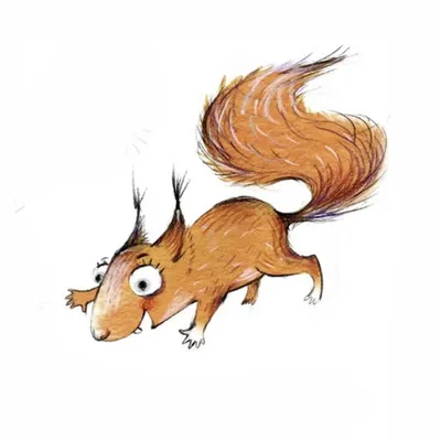 Children’s Book Illustrator & Character Designer profile