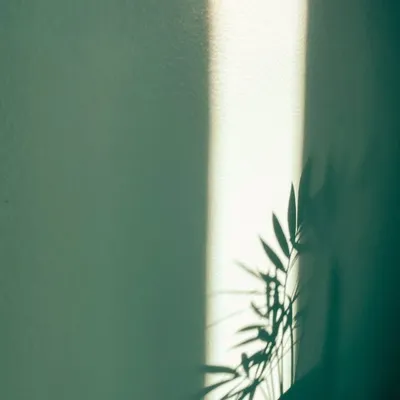 N a t a s h a profile