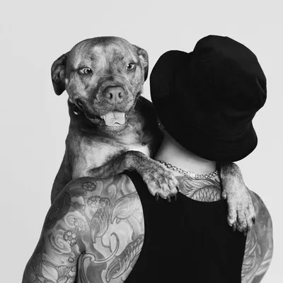 ๐ก๐๐ง๐ profile