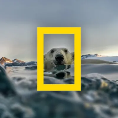 National Geographic profile