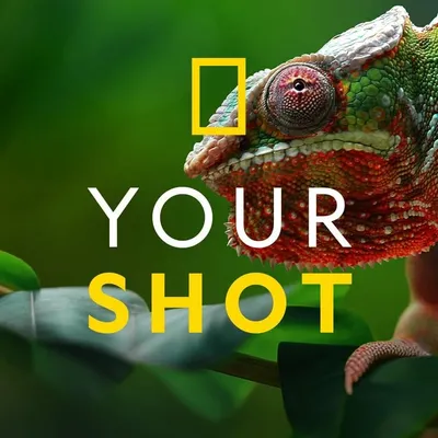 National Geographic Your Shot profile