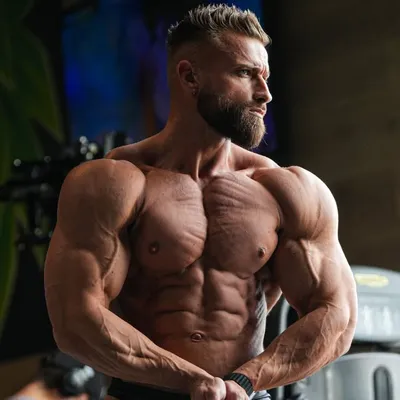 Le Chad 🐺 profile