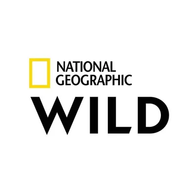 National Geographic Wild profile