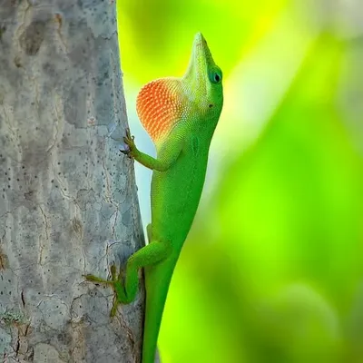 Florida Nature Photography profile