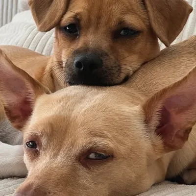 Lélé et Gigi 💕 profile