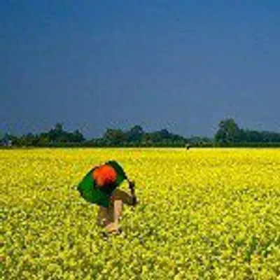 Natural Bangladesh ยฉ ๐ง๐ฉ ๐ด๐ณ๐ profile
