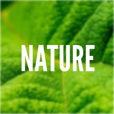 Nature profile