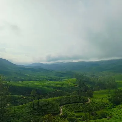 ๐ ๐๏ธ profile