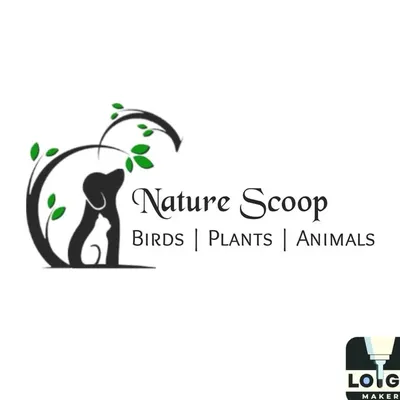 Nature Scoop profile