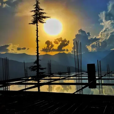 Nature and natural profile
