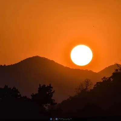 Priyajit Photography - NATURE profile
