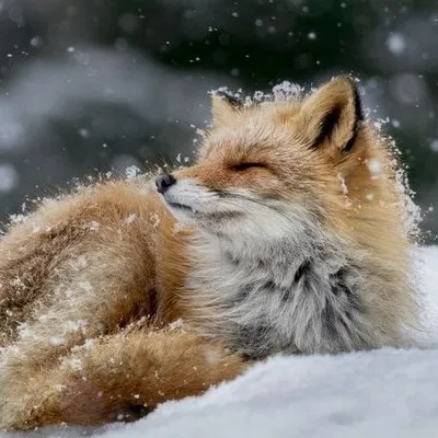 Nature Blog profile
