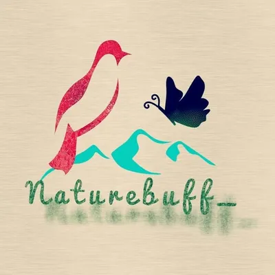 Nature🔻🔺 Wildlife🔻🔺 Adventure profile