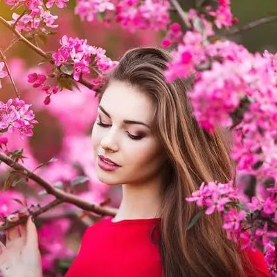 Arielangel profile